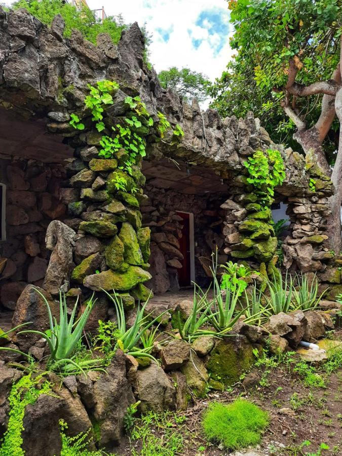 Hotel Tunco Lodge ラ・リベルタード エクステリア 写真