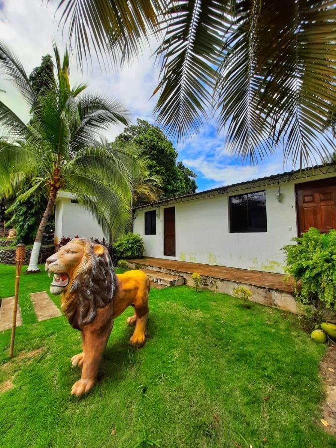 Hotel Tunco Lodge ラ・リベルタード エクステリア 写真